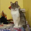Отзыв от Лена Фомина